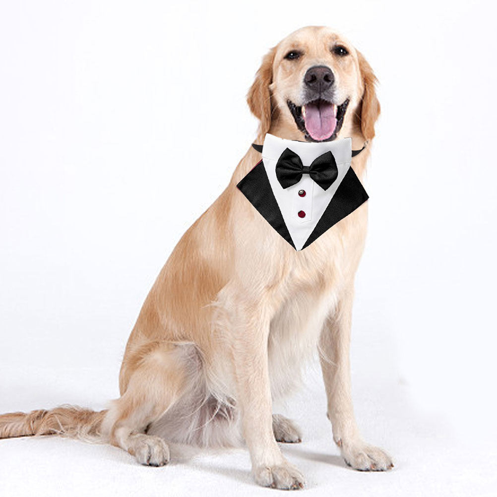 طقم بدلة وربطة عنق للكلاب، بدل - مراجعة Suit Supply Wedding Party وسعره
