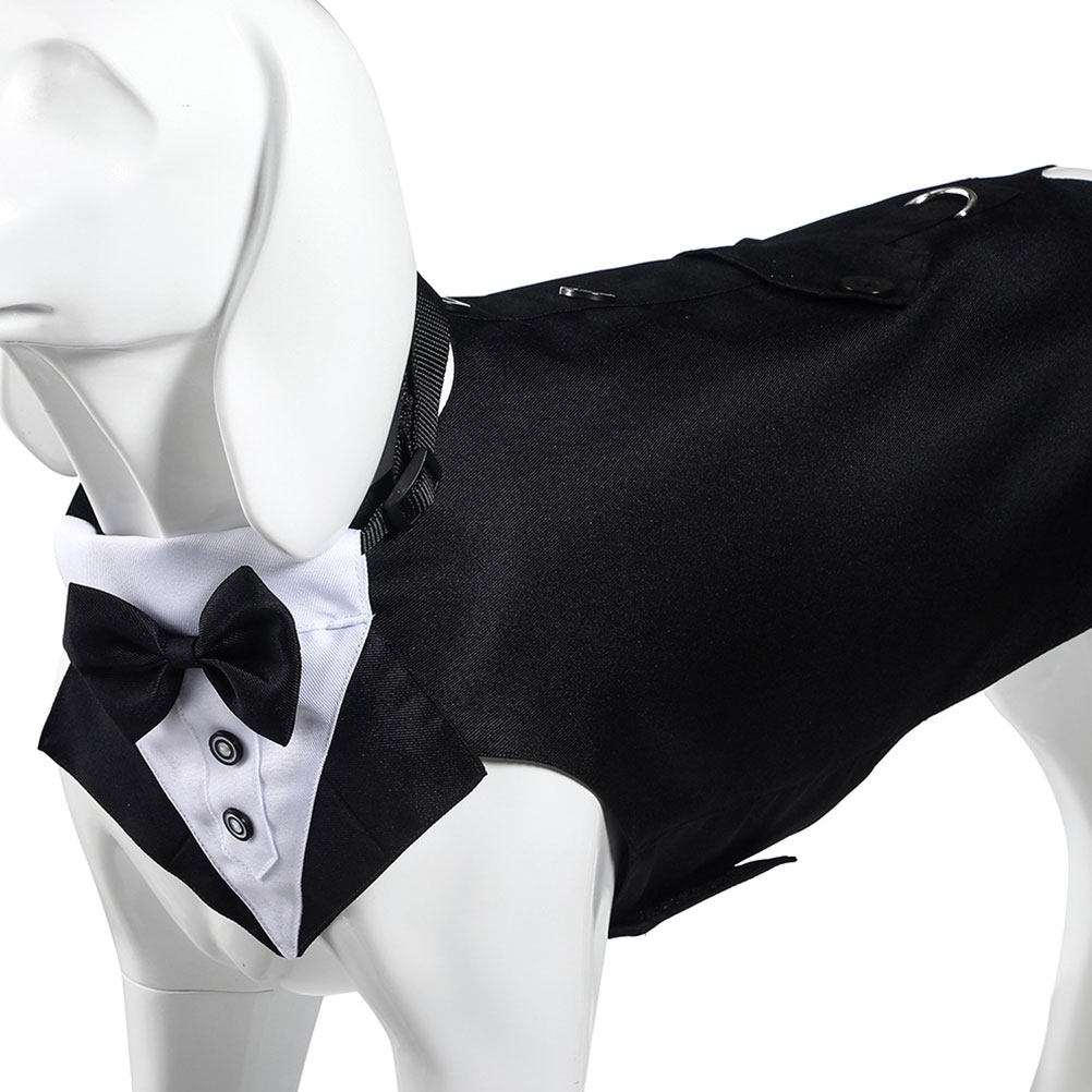 طقم بدلة وربطة عنق للكلاب، بدل - مراجعة Suit Supply Wedding Party وسعره
